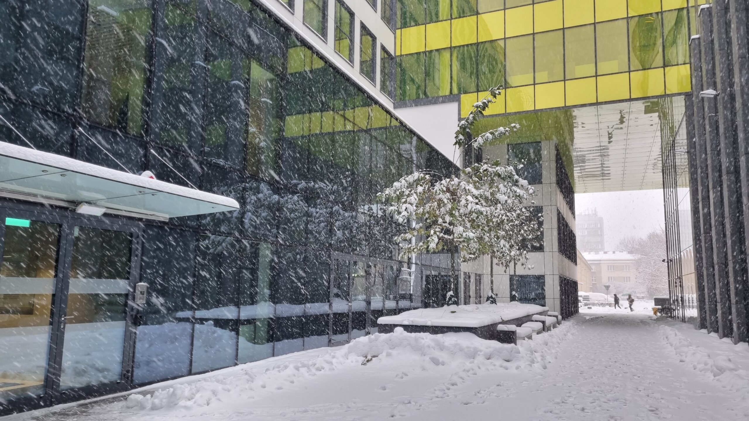 Warsztaty “Budowanie kultury Lean i Agile w organizacji”